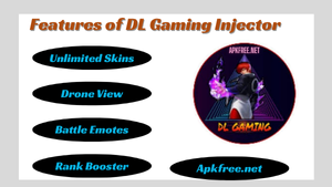 Features of DL Gaming Injector